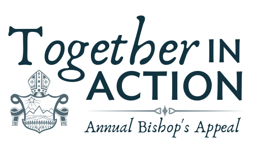 Together in Action Campaign